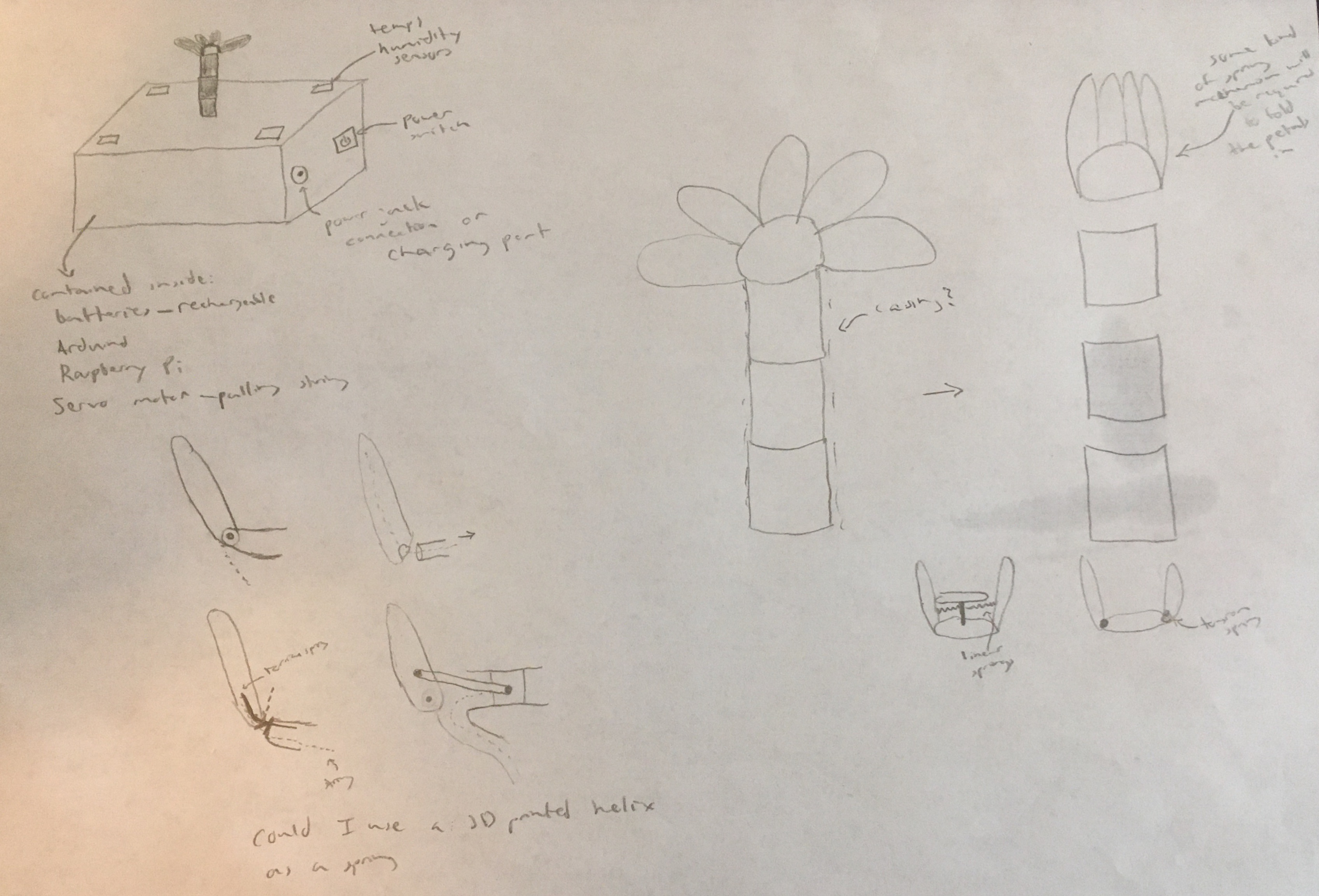 Sketch Showing Box and Different Flower Head Designs